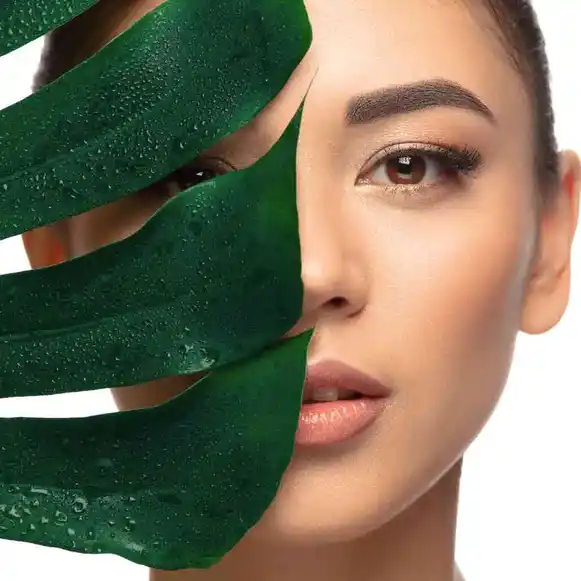 Yüz Temizleyicileri